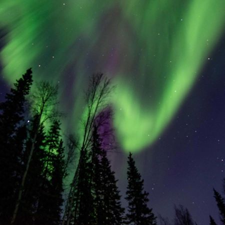 Riverside Log Cabin On-Site Aurora Viewing! North Pole Exterior photo